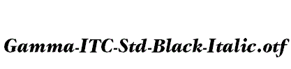 Gamma-ITC-Std-Black-Italic