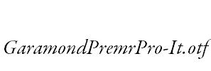 GaramondPremrPro-It