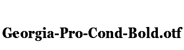 Georgia-Pro-Cond-Bold