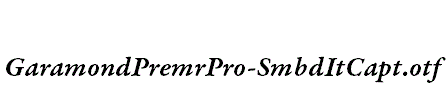 GaramondPremrPro-SmbdItCapt