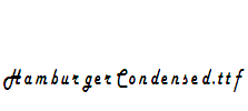 HamburgerCondensed