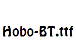 Hobo-BT