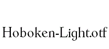 Hoboken-Light