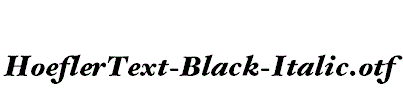 HoeflerText-Black-Italic