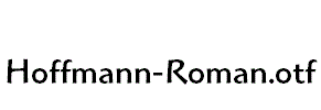 Hoffmann-Roman