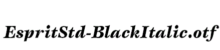 EspritStd-BlackItalic