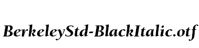 BerkeleyStd-BlackItalic