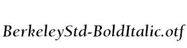 BerkeleyStd-BoldItalic