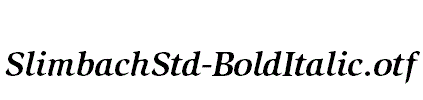 SlimbachStd-BoldItalic