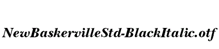 NewBaskervilleStd-BlackItalic