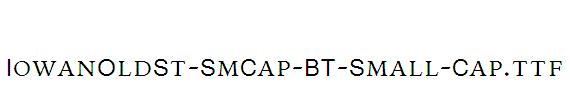 IowanOldSt-SmCap-BT-Small-Cap