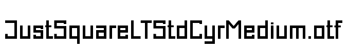 JustSquareLTStdCyrMedium