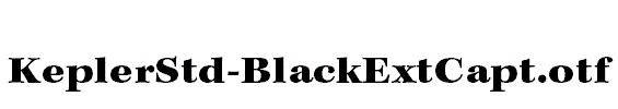 KeplerStd-BlackExtCapt