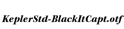 KeplerStd-BlackItCapt