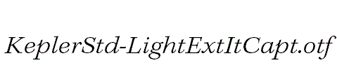 KeplerStd-LightExtItCapt