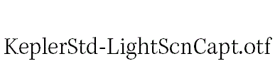 KeplerStd-LightScnCapt