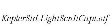 KeplerStd-LightScnItCapt