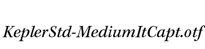 KeplerStd-MediumItCapt