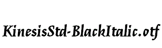 KinesisStd-BlackItalic