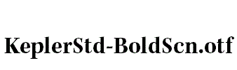 KeplerStd-BoldScn