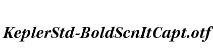 KeplerStd-BoldScnItCapt
