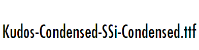 Kudos-Condensed-SSi-Condensed
