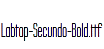 Labtop-Secundo-Bold