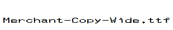 Merchant-Copy-Wide