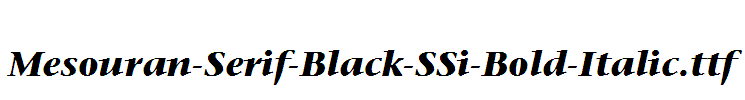 Mesouran-Serif-Black-SSi-Bold-Italic