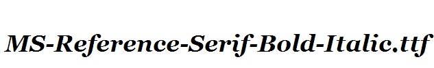 MS-Reference-Serif-Bold-Italic