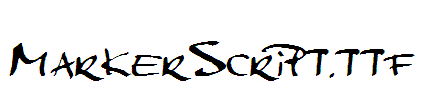 MarkerScript