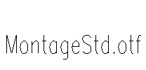 MontageStd