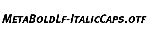 MetaBoldLf-ItalicCaps