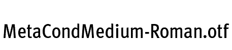 MetaCondMedium-Roman