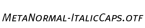 MetaNormal-ItalicCaps