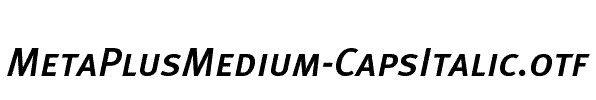 MetaPlusMedium-CapsItalic