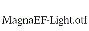 MagnaEF-Light