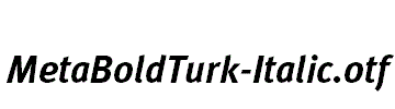 MetaBoldTurk-Italic