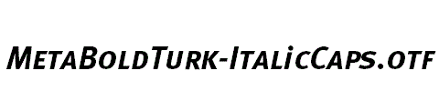 MetaBoldTurk-ItalicCaps