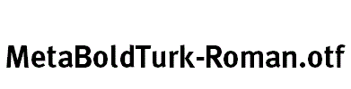 MetaBoldTurk-Roman