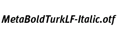 MetaBoldTurkLF-Italic