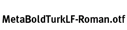 MetaBoldTurkLF-Roman