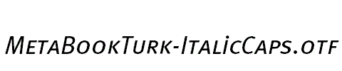 MetaBookTurk-ItalicCaps