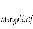 Marigold