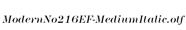 ModernNo216EF-MediumItalic