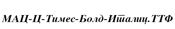 MAC-C-Times-Bold-Italic