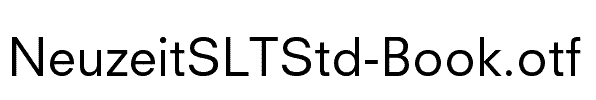 NeuzeitSLTStd-Book