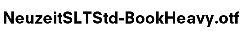 NeuzeitSLTStd-BookHeavy