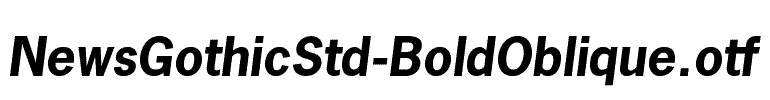 NewsGothicStd-BoldOblique