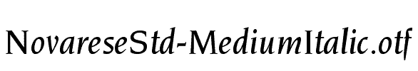 NovareseStd-MediumItalic